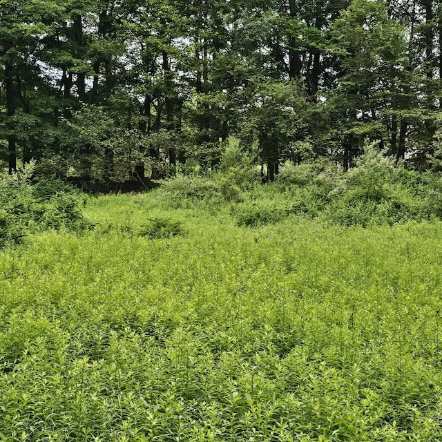 LOT45 Lake Russell Rd, Newfoundland, PA 18445 - photo 3