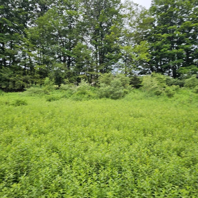 LOT45 Lake Russell Rd, Newfoundland, PA 18445 - photo 9