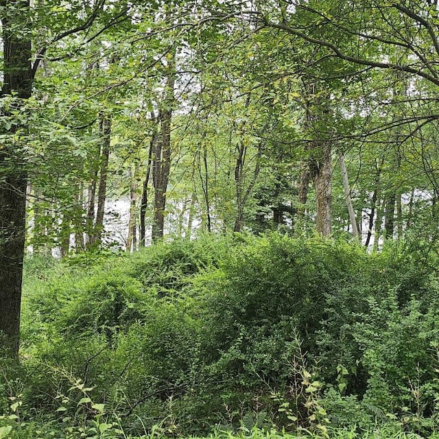 LOT45 Lake Russell Rd, Newfoundland, PA 18445 - photo 2