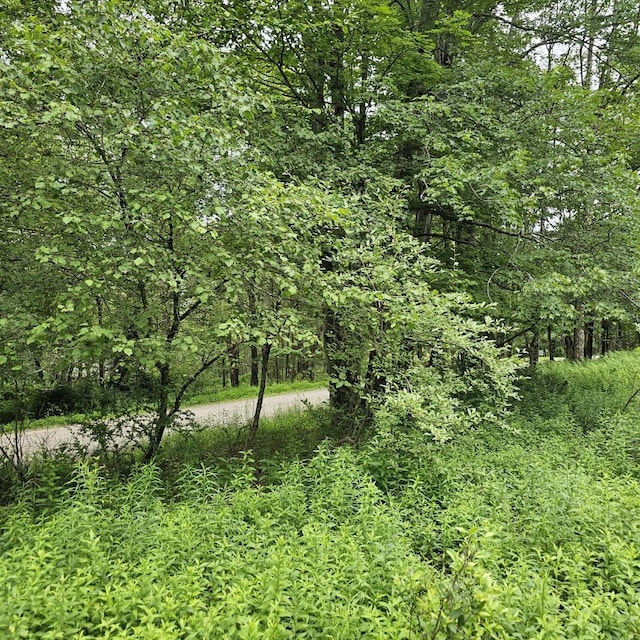 LOT45 Lake Russell Rd, Newfoundland, PA 18445 - photo 12