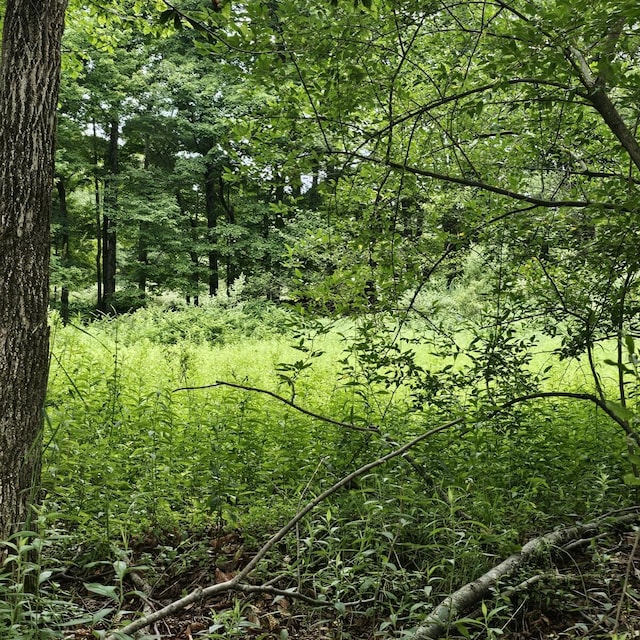 LOT45 Lake Russell Rd, Newfoundland, PA 18445 - photo 5
