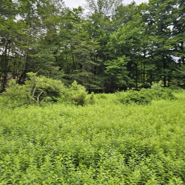 LOT45 Lake Russell Rd, Newfoundland, PA 18445 - photo 10