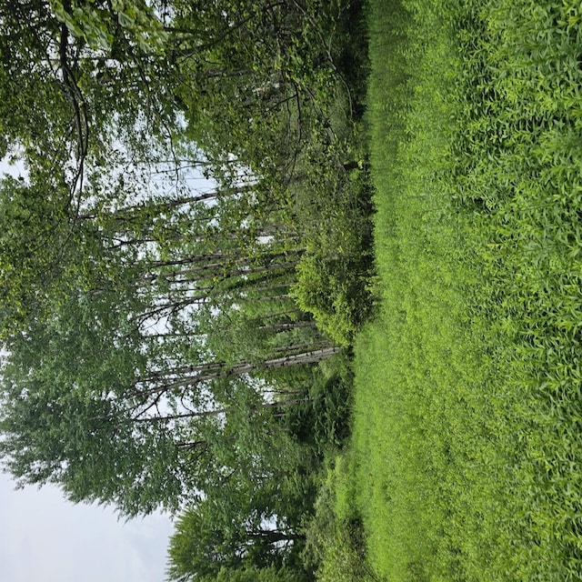 LOT45 Lake Russell Rd, Newfoundland, PA 18445 - photo 7
