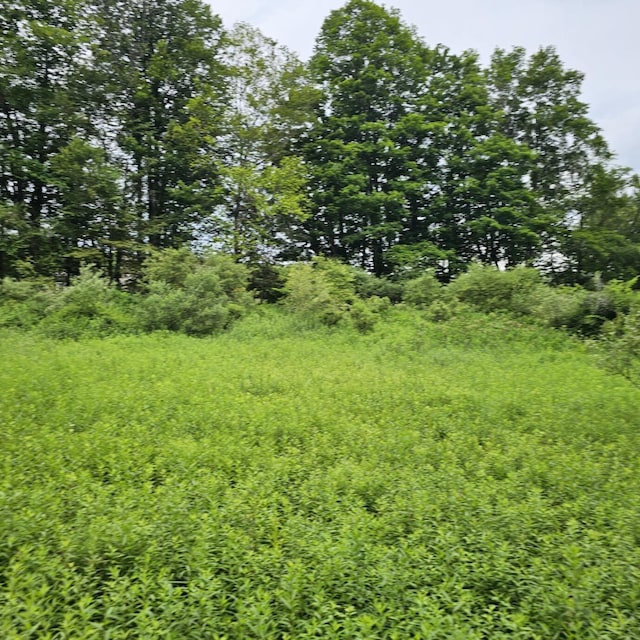 LOT45 Lake Russell Rd, Newfoundland, PA 18445 - photo 8