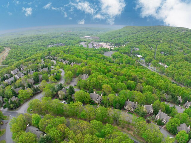 393 Vista Dr, Tannersville, PA 18372 - photo 4