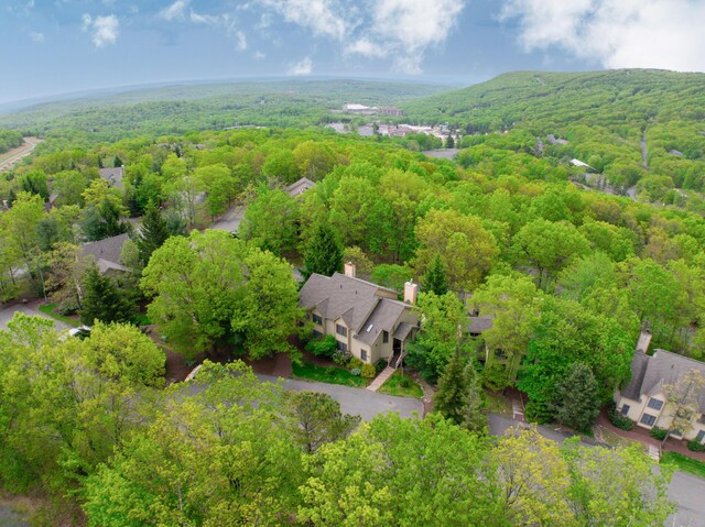 393 Vista Dr, Tannersville, PA 18372 - photo 1