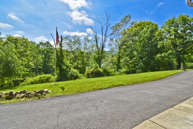 2115 Upper Smith Gap Rd, Saylorsburg, PA 18353 - view of road