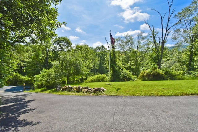 2115 Upper Smith Gap Rd, Saylorsburg, PA 18353 - view of asphalt road