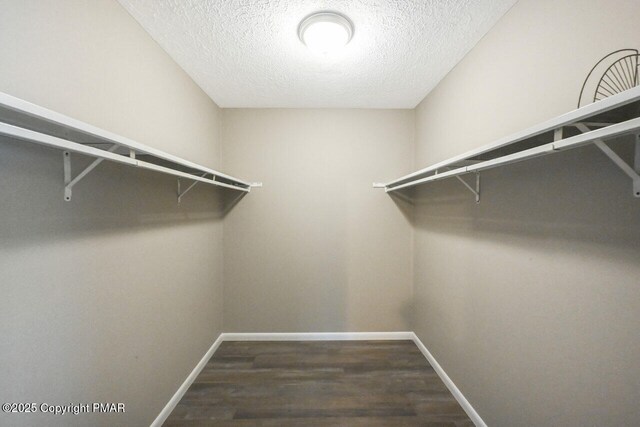 walk in closet featuring dark hardwood / wood-style floors