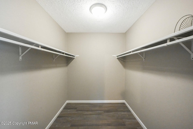 walk in closet with wood finished floors