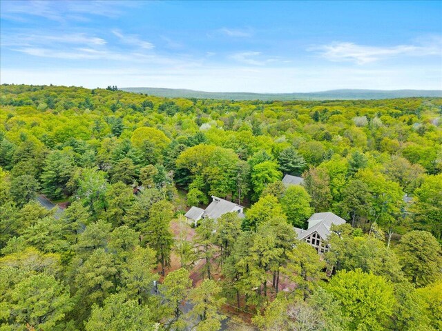 52 Hickory Rd, Lake Harmony, PA 18624 - photo 33