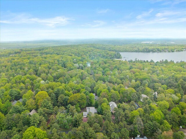 52 Hickory Rd, Lake Harmony, PA 18624 - photo 35