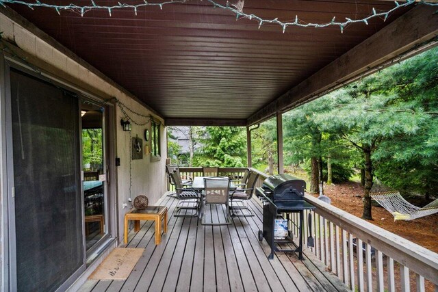 52 Hickory Rd, Lake Harmony, PA 18624 - photo 27
