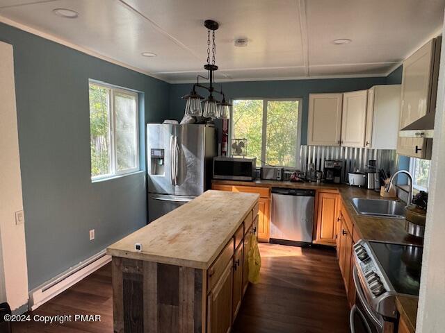 kitchen with stainless steel appliances, a healthy amount of sunlight, a sink, and dark wood-type flooring