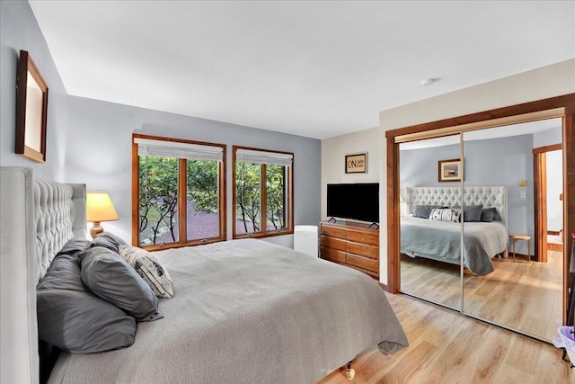 99 Ruffed Grouse Ct, Lake Harmony, PA 18624 - bedroom with light wood-style flooring and a closet