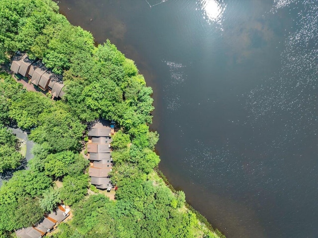 99 Ruffed Grouse Ct, Lake Harmony, PA 18624 - bird's eye view of a large body of water