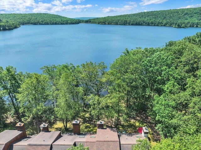 99 Ruffed Grouse Ct, Lake Harmony, PA 18624 - bird's eye view of a nearby body of water and a forest