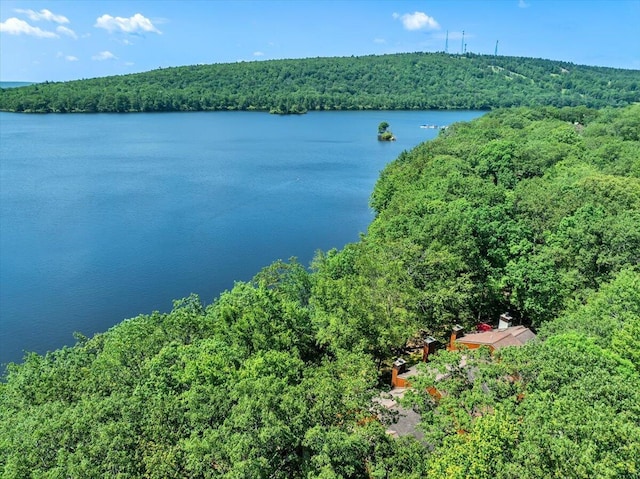 99 Ruffed Grouse Ct, Lake Harmony, PA 18624 - bird's eye view of a nearby body of water
