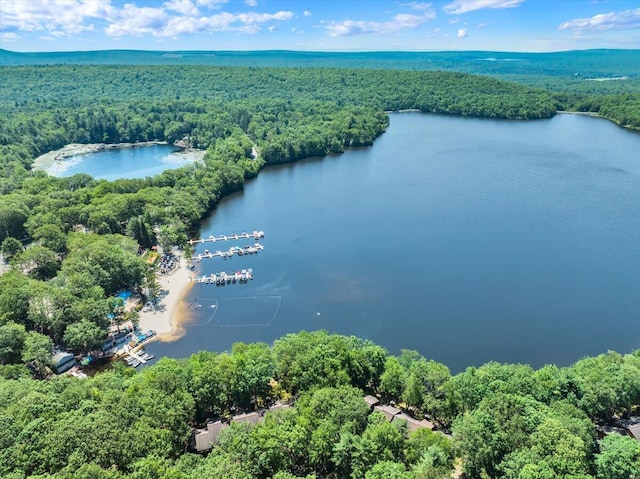 99 Ruffed Grouse Ct, Lake Harmony, PA 18624 - bird's eye view of a heavily wooded area and a large body of water