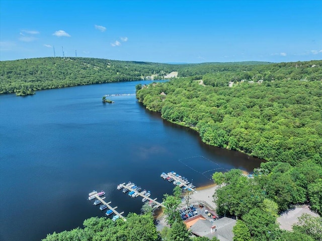 99 Ruffed Grouse Ct, Lake Harmony, PA 18624 - bird's eye view of a forest and a large body of water