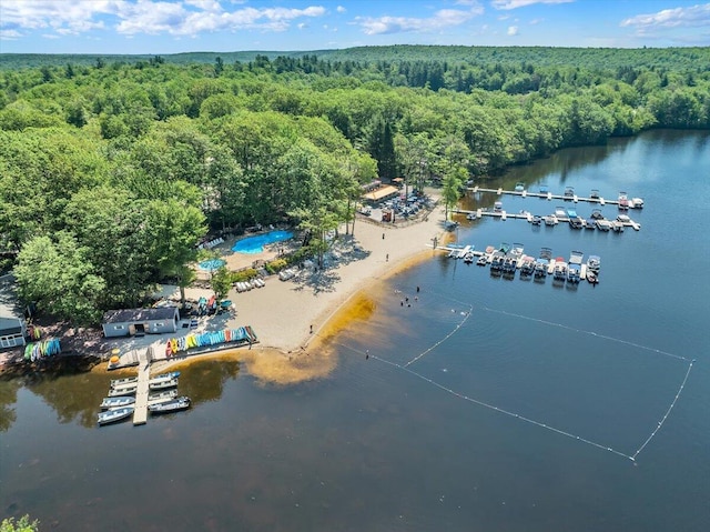 99 Ruffed Grouse Ct, Lake Harmony, PA 18624 - aerial view of a forest and a nearby body of water