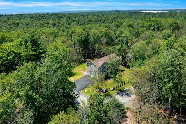 1204 Chandus Way, Tobyhanna, PA 18466 - photo 15