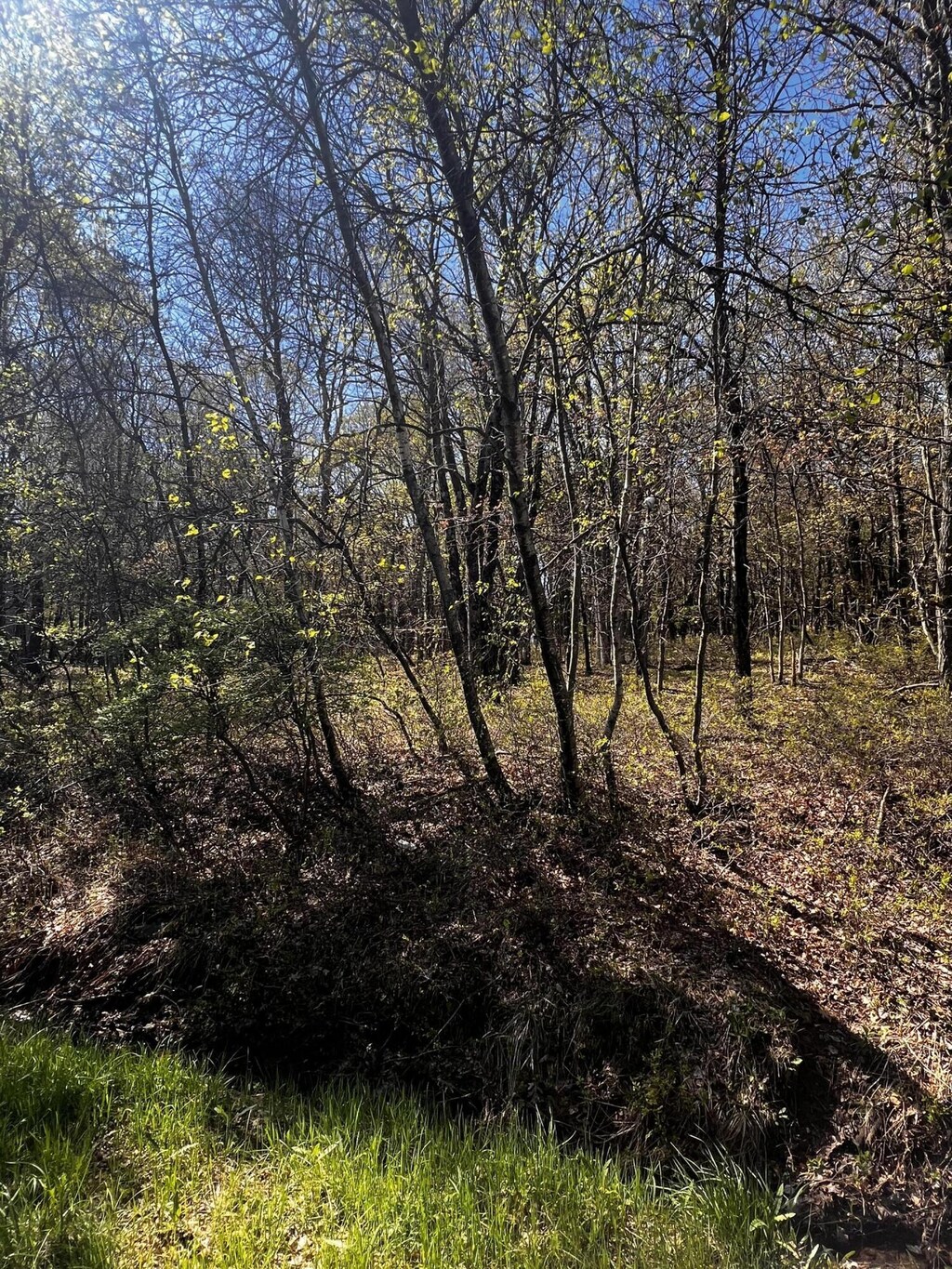 LOT5915 Wild Laurel Dr, Long Pond, PA 18334 - photo 3