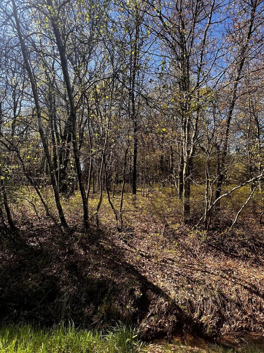 LOT5915 Wild Laurel Dr, Long Pond, PA 18334 - photo 2