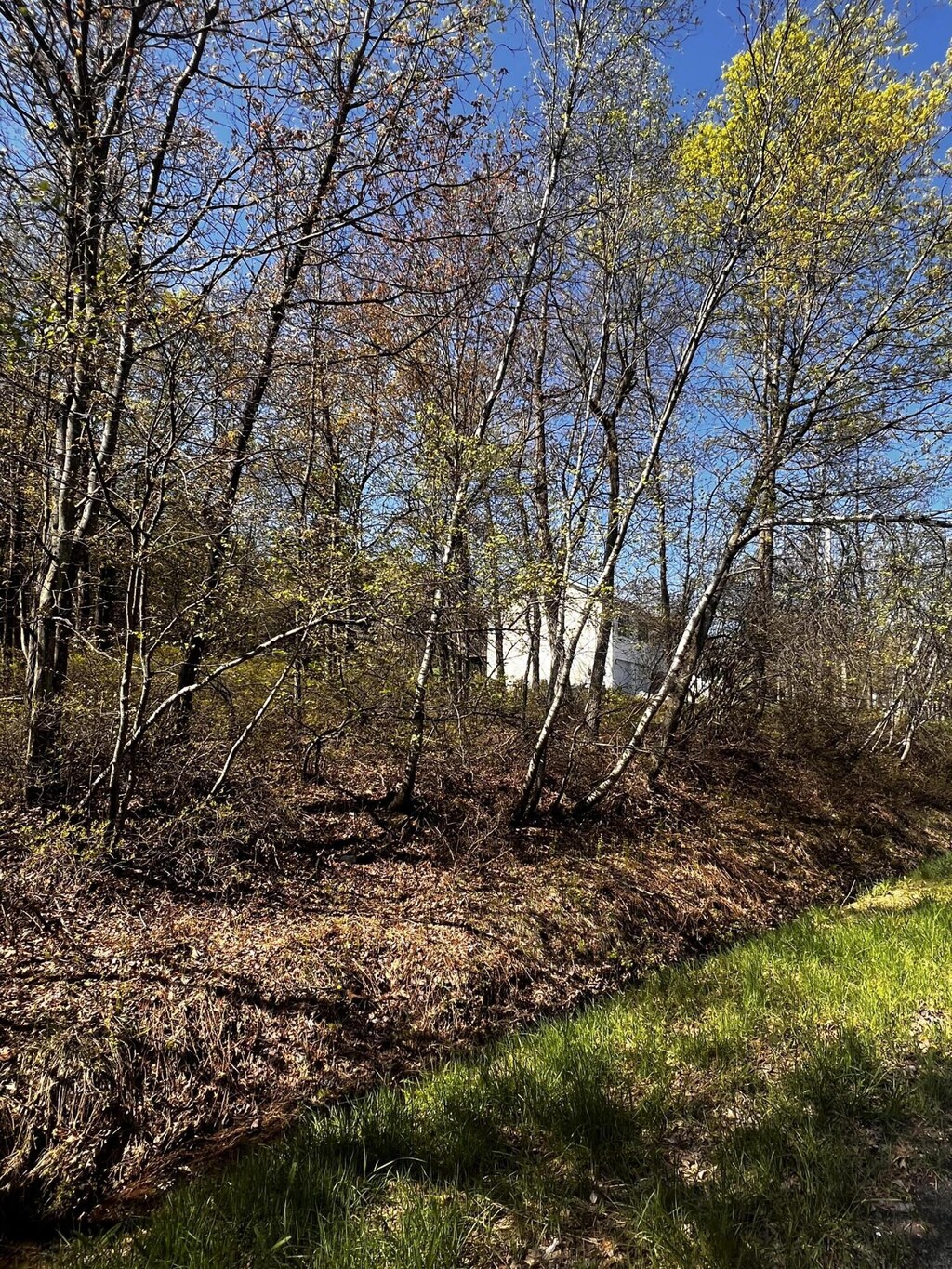 LOT5915 Wild Laurel Dr, Long Pond, PA 18334 - photo 4