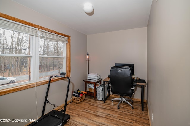 133 Sundew Dr, East Stroudsburg, PA 18301 - home office with wood finished floors and baseboards