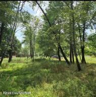 Cygnus Rd, Lake Ariel PA, 18436 land for sale