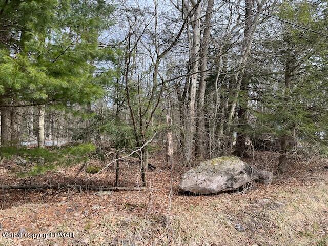 1507 Evergreen Rd, Pocono Pines PA, 18350 land for sale