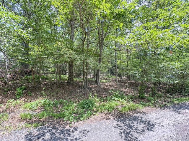 LOT114 Birch Dr, Jim Thorpe, PA 18229