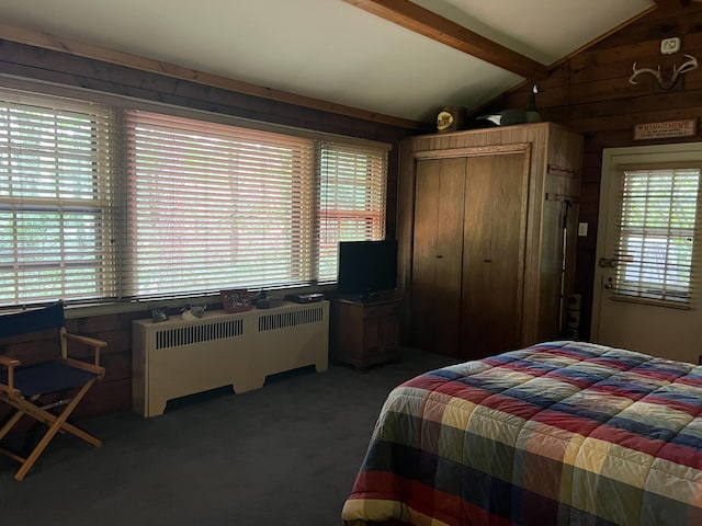 40 Crest Dr, Lake Harmony, PA 18624 - bedroom with radiator heating unit, carpet, a closet, and wooden walls