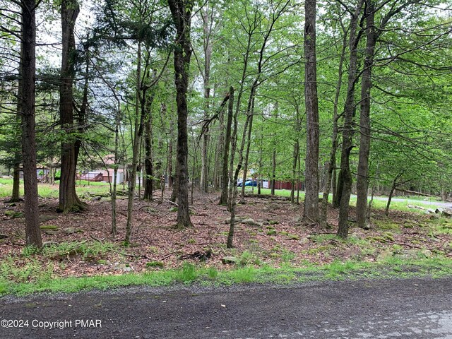 Middle Ridge Dr, Gouldsboro PA, 18424 land for sale