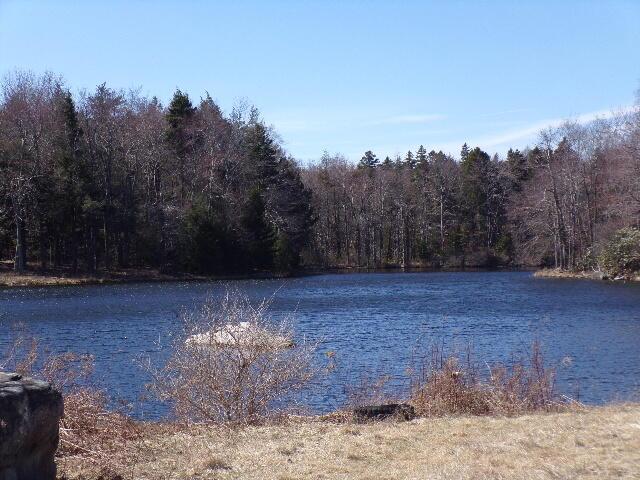 LOT21 Covington Lake Dr N, Covington Township, PA 18424