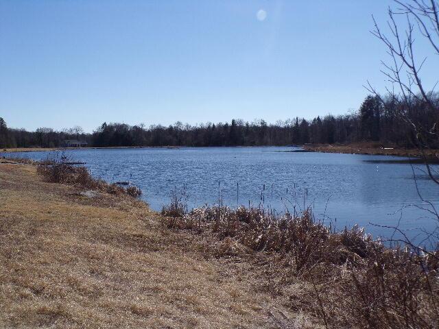 LOT21 Covington Lake Dr N, Covington Township, PA 18424
