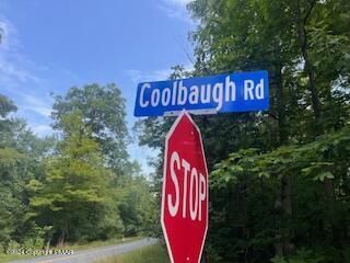 Coolbaugh Rd, East Stroudsburg, PA 18302