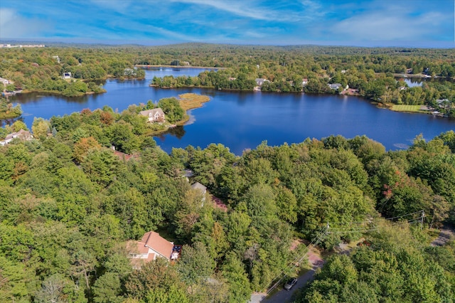 1213 Coyote Ct, Long Pond, PA 18334 - photo 44