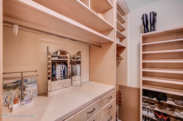 view of walk in closet