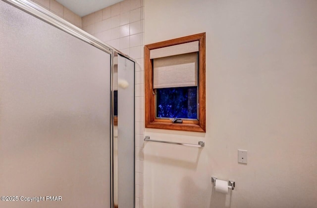 full bathroom featuring a shower with door