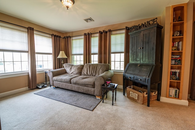 49 Central Dr, Easton, PA 18045 - living room with carpet floors, plenty of natural light, and baseboards