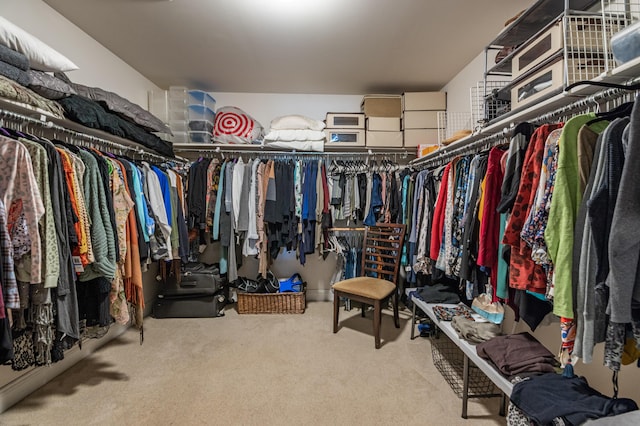 49 Central Dr, Easton, PA 18045 - spacious closet with carpet flooring