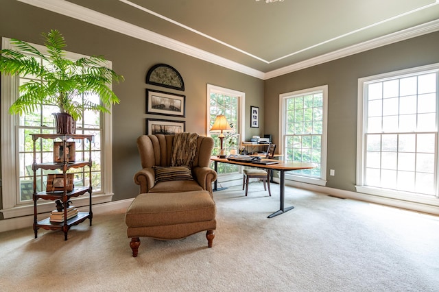 49 Central Dr, Easton, PA 18045 - carpeted office space featuring crown molding and baseboards