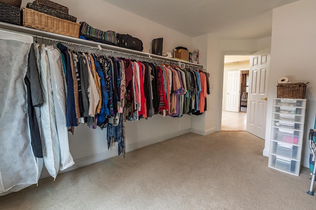 49 Central Dr, Easton, PA 18045 - walk in closet featuring carpet flooring