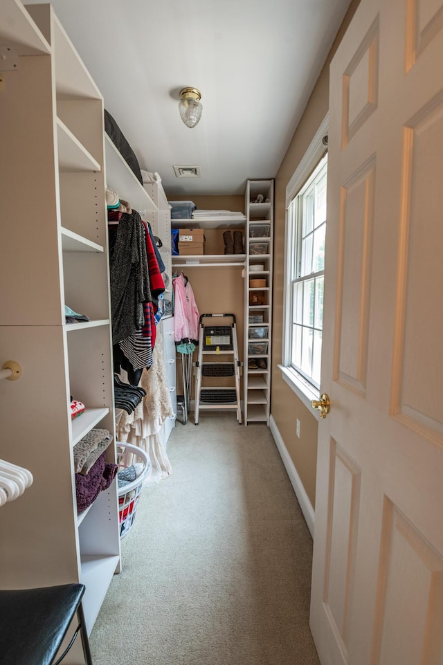 49 Central Dr, Easton, PA 18045 - walk in closet with carpet floors