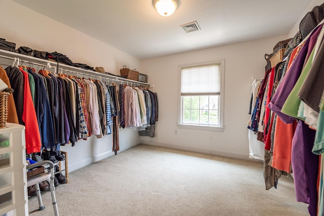 49 Central Dr, Easton, PA 18045 - spacious closet with carpet flooring