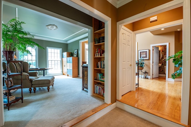 49 Central Dr, Easton, PA 18045 - living area featuring carpet flooring, ornamental molding, and baseboards