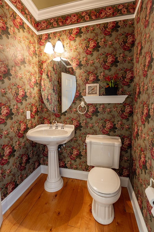 49 Central Dr, Easton, PA 18045 - bathroom with wood-type flooring, toilet, and baseboards
