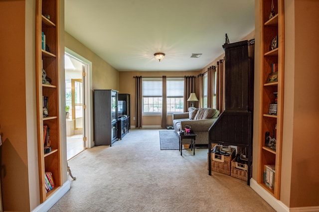 49 Central Dr, Easton, PA 18045 - living room with carpet floors and baseboards